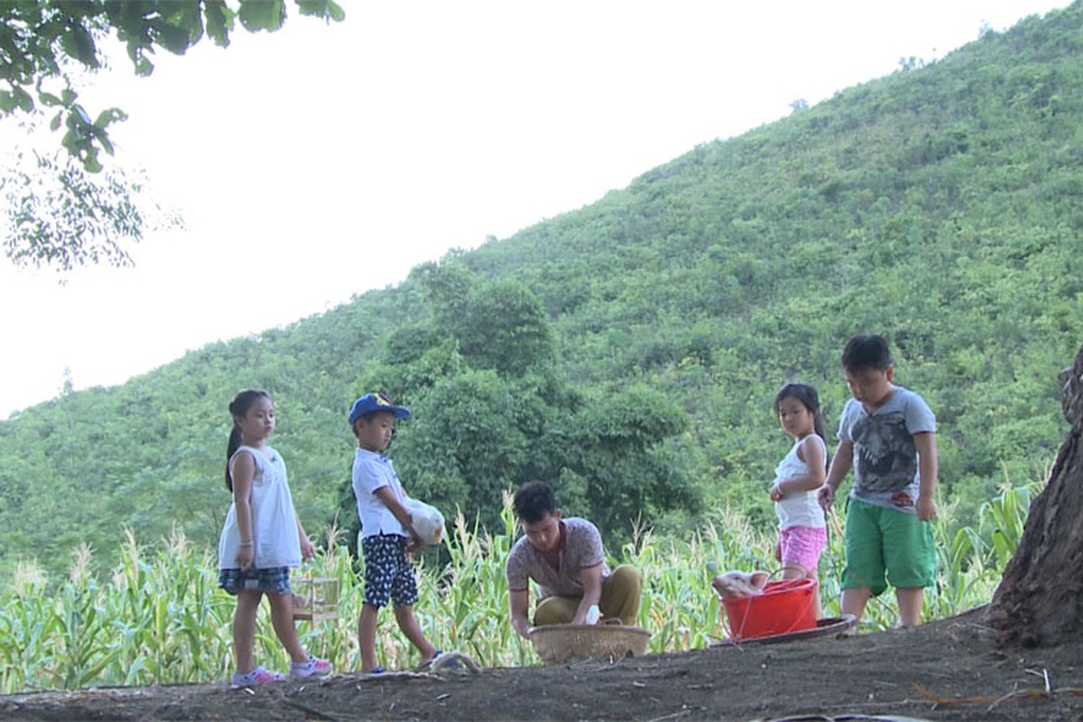 Bo con Xuan Bac pham luat Bo oi Minh di dau the-Hinh-12